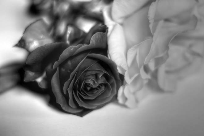 究極のW不倫霊視『あなたは最終的に誰と一緒？旦那？彼？』恋結末