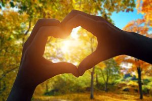 完全無料・恋愛占い｜あなた×あの人の恋現状⇒本気度と結婚行方