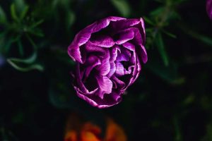 不倫占い｜既婚の彼が好き…略奪できる？諦めるべき？恋の成就率