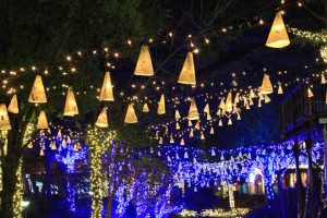 今夜あの人は誰を想う？あなたの想いは報われる？片思いの恋真実