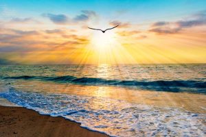 人生がガラリと激変する？【あなたに次起こること】訪れる大転機